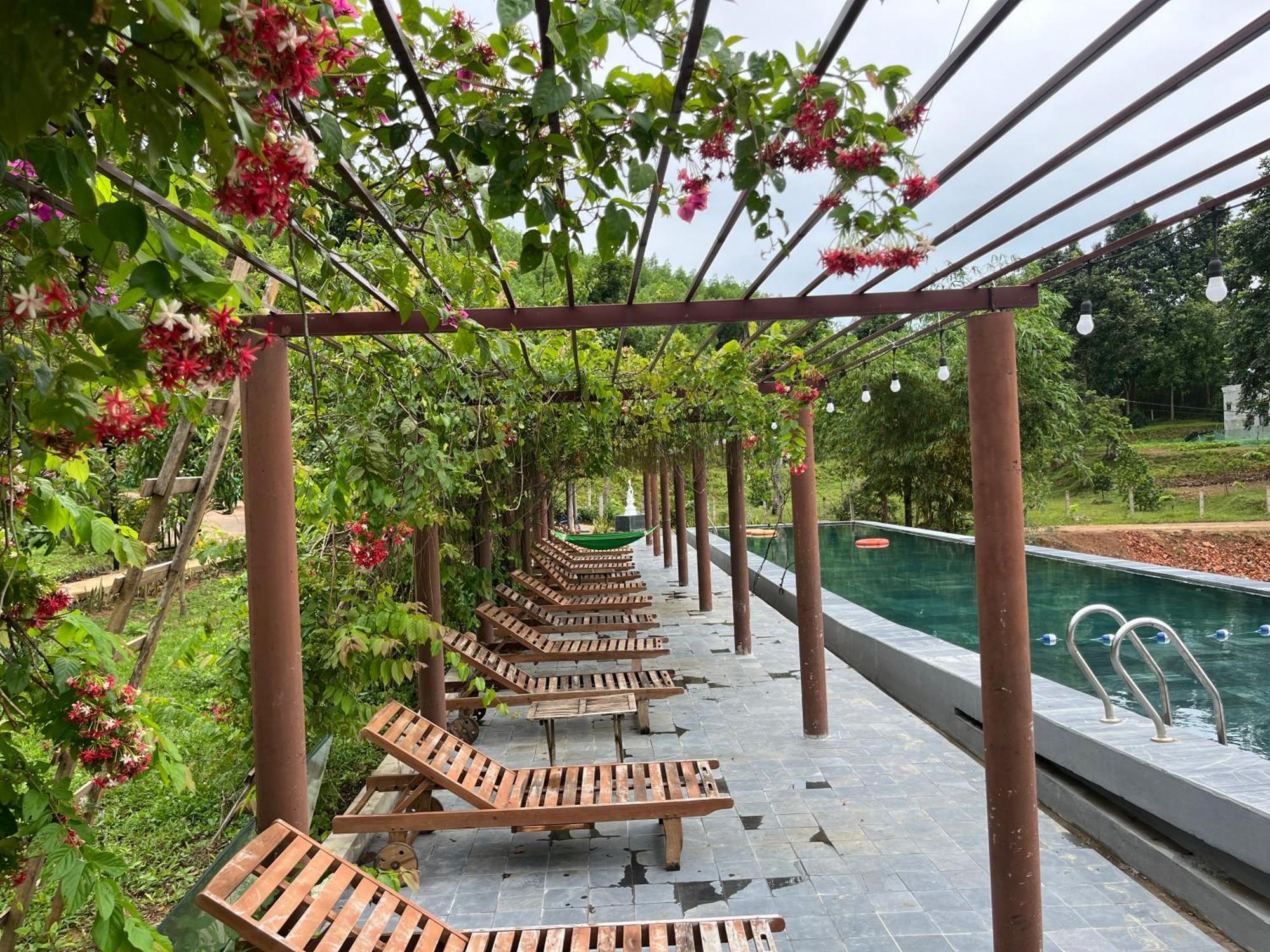Nguyen Shack Retreat Resort Phong Nha Exterior foto