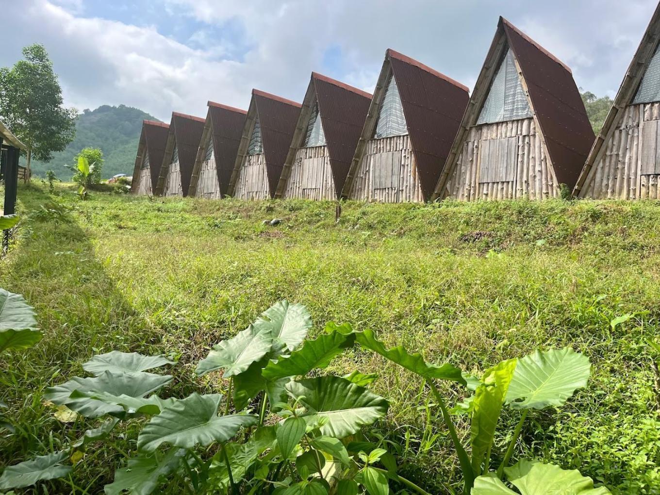 Nguyen Shack Retreat Resort Phong Nha Exterior foto